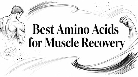 Best Amino Acids for Muscle Recovery