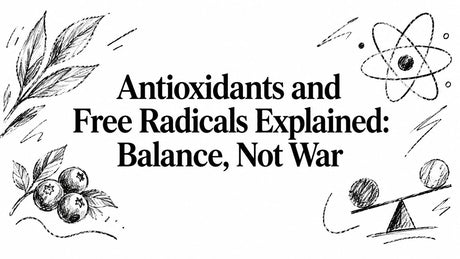 Antioxidants and Free Radicals Explained: Balance, Not War