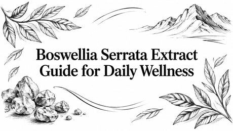 Boswellia Serrata Extract Guide for Daily Wellness