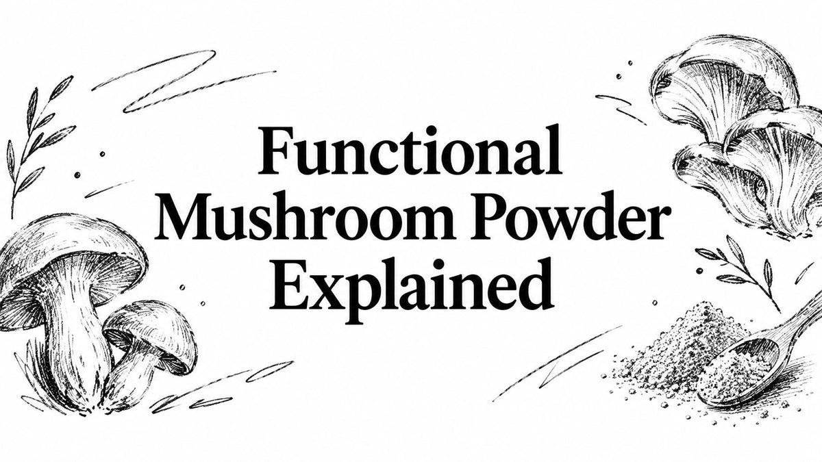 Functional Mushroom Powder Explained