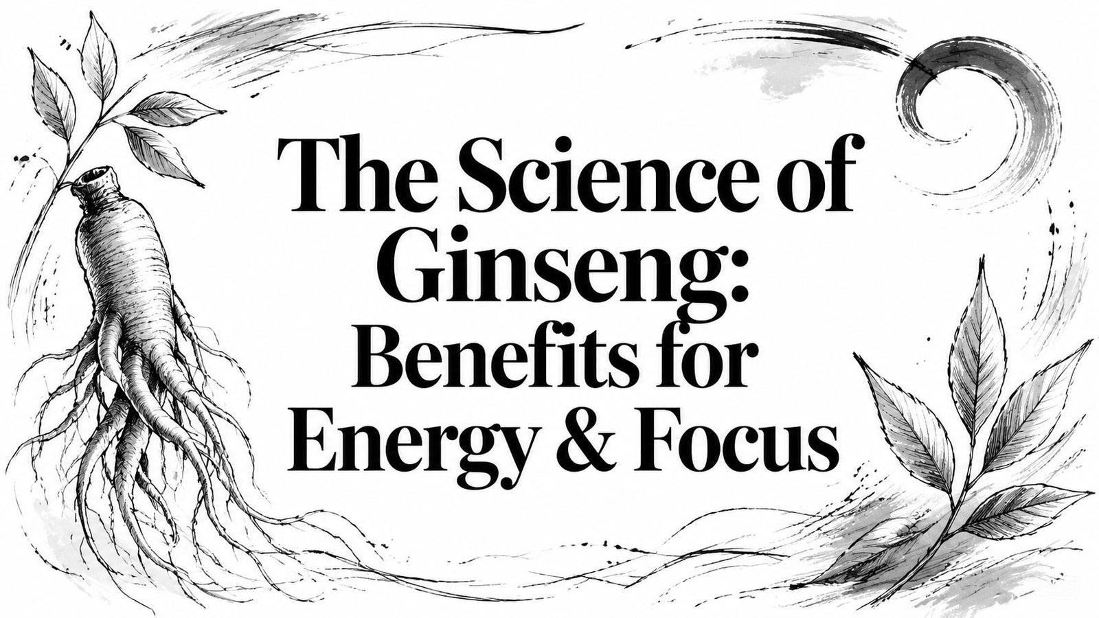 The Science of Ginseng: Benefits for Energy & Focus
