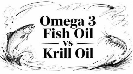 Omega 3 Fish Oil vs Krill Oil