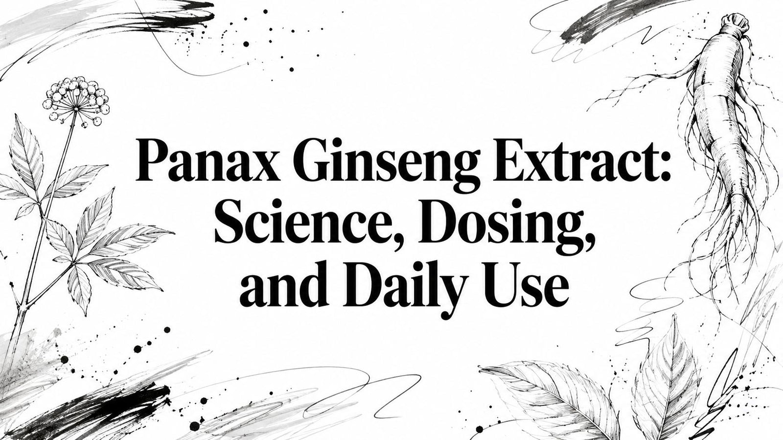 Panax Ginseng Extract: Science, Dosing, and Daily Use
