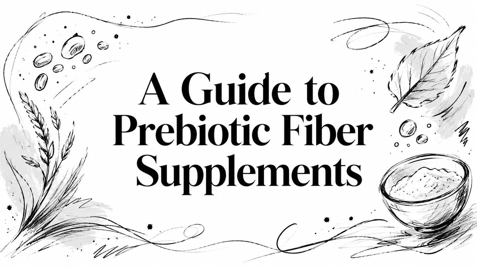 A Guide to Prebiotic Fiber Supplements