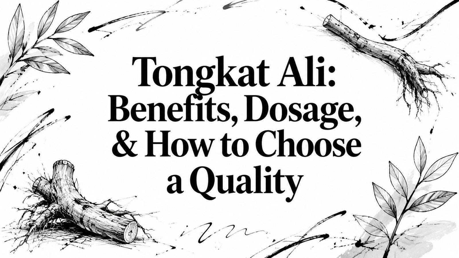 Tongkat Ali: Benefits, Dosage, & How to Choose a Quality