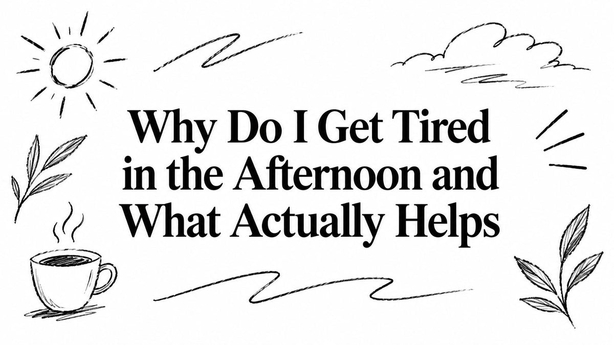 Why Do I Get Tired in the Afternoon and What Actually Helps