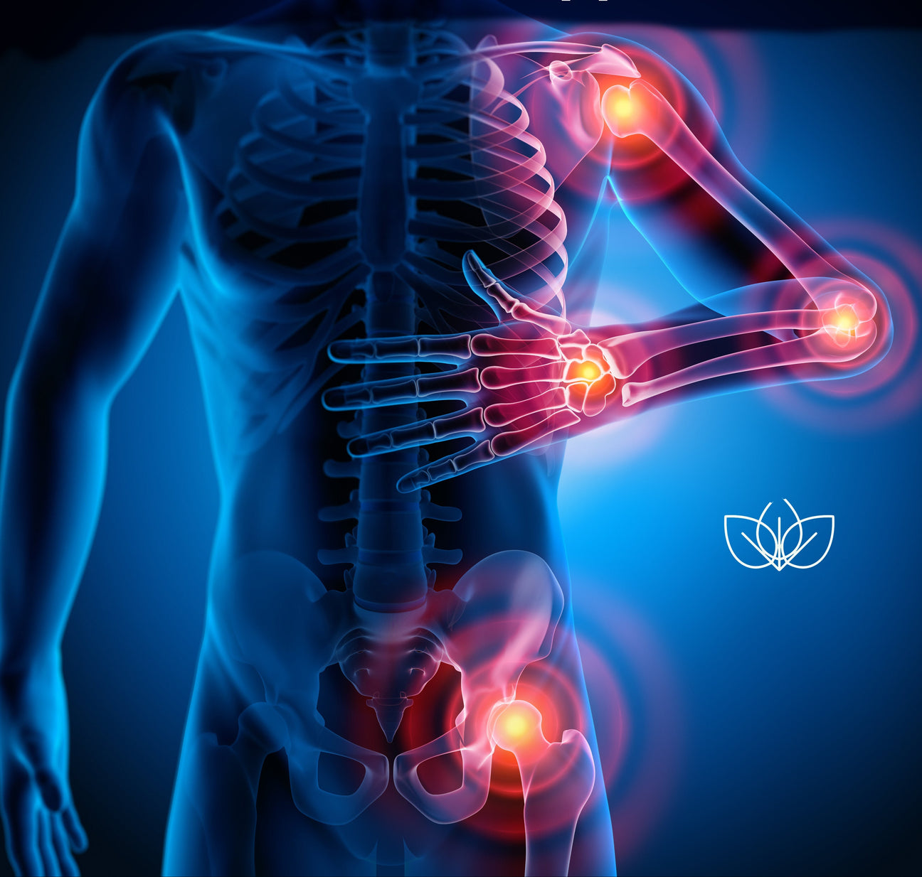 Daily Wellness & Mobility